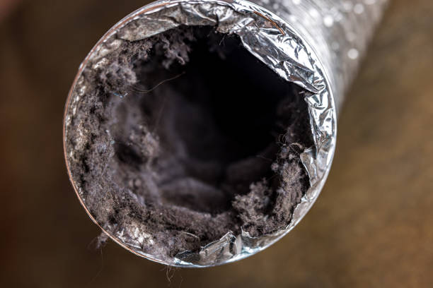 Best HVAC Air Duct Cleaning  in Cleveland, FL